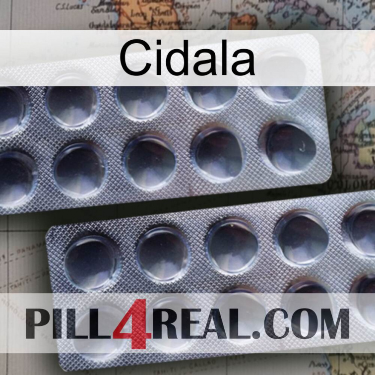 Cidala 31